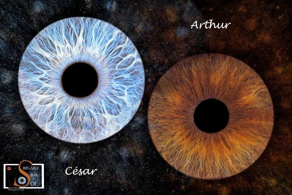 Photo iris duo avec effet poussière étoile