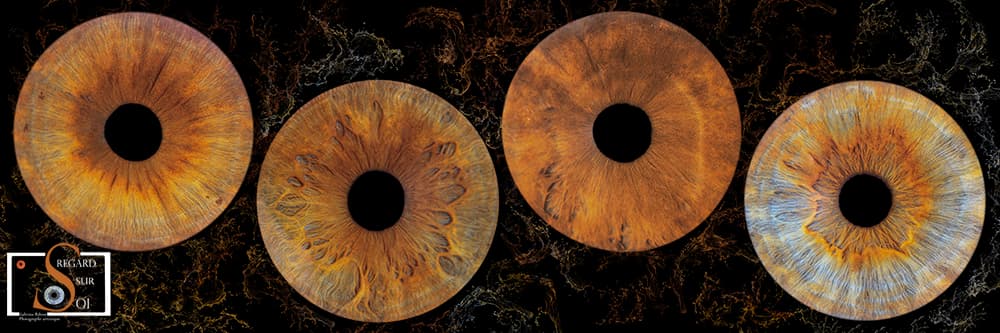 Photo iris quatuor tableau panoramique 30x90 avec effet splash