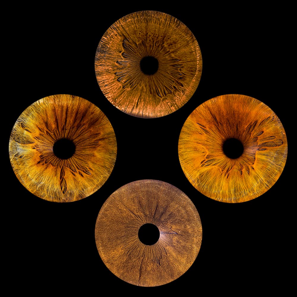 Photo iris quatuor famille Hadrien Morgane Chloé Alexandre