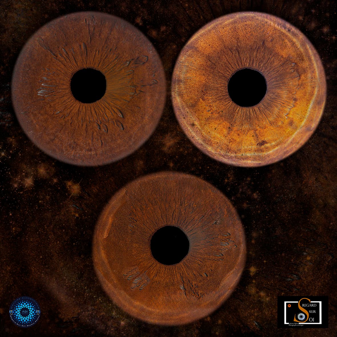 Photo iris trio sur tableau carre avec logos
