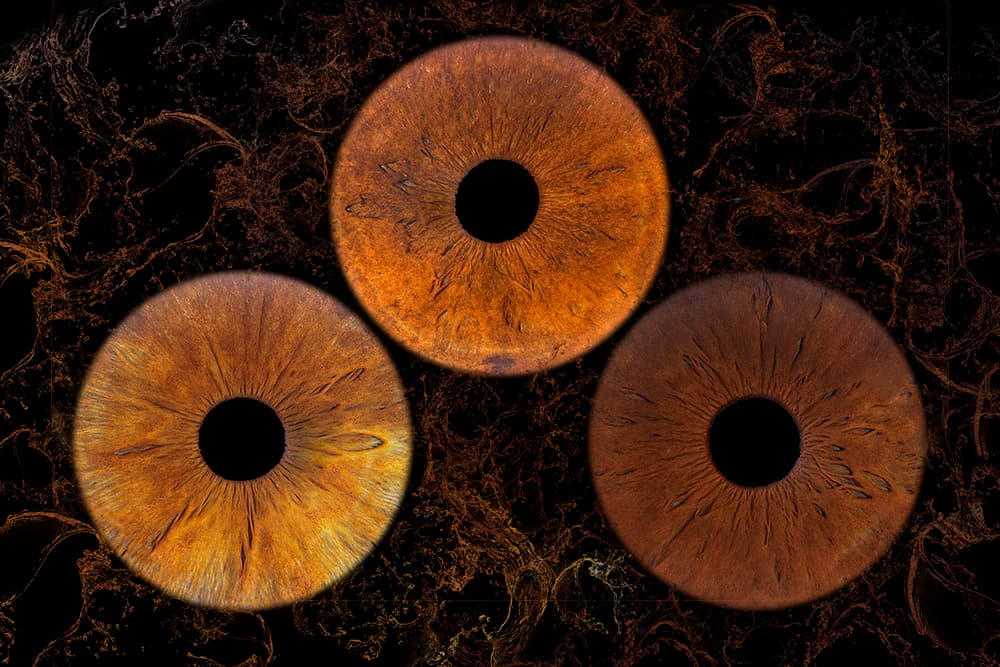 Photo iris trio format A4 avec effet splash